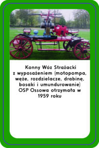 ciekawostki-32